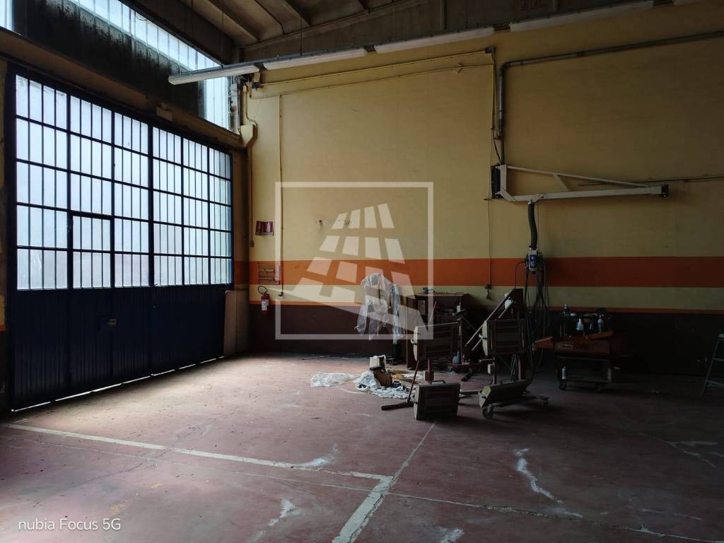 immagine annuncio 11 di 15