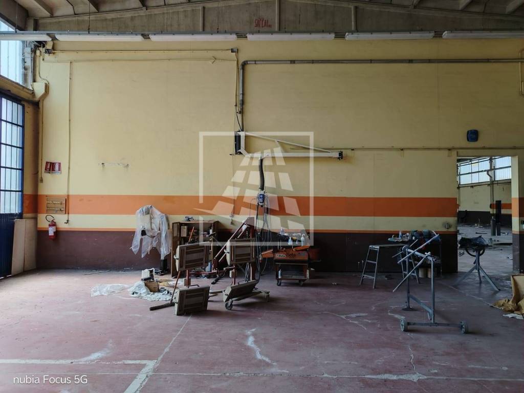 immagine annuncio 12 di 15