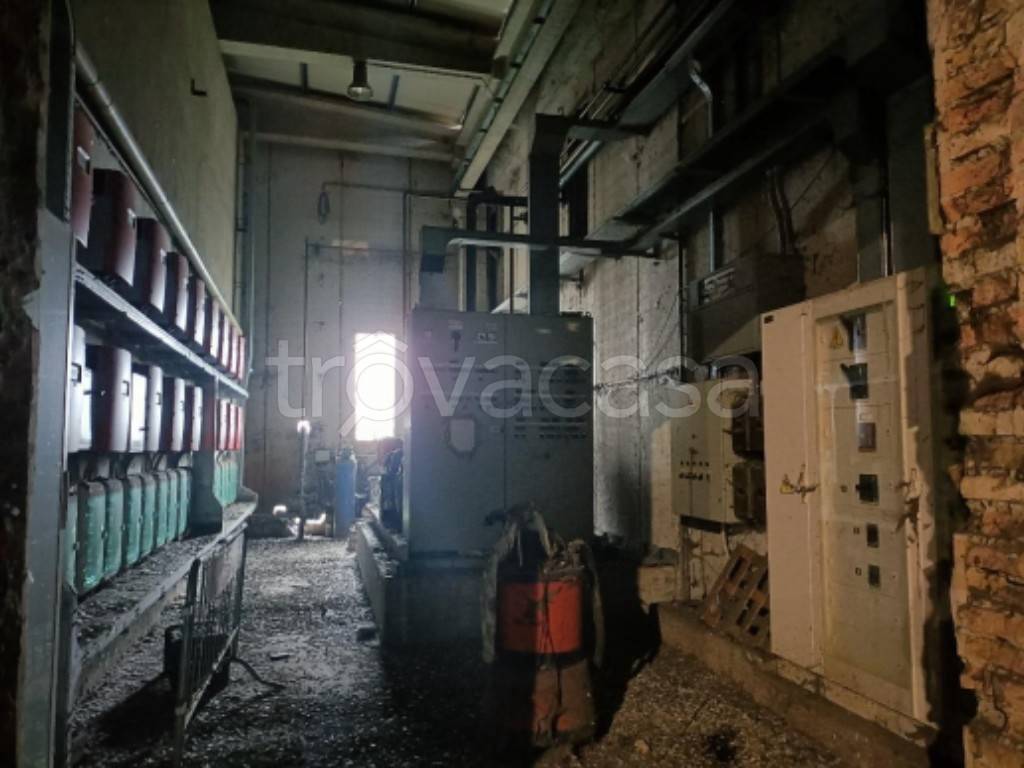 immagine annuncio 7 di 12