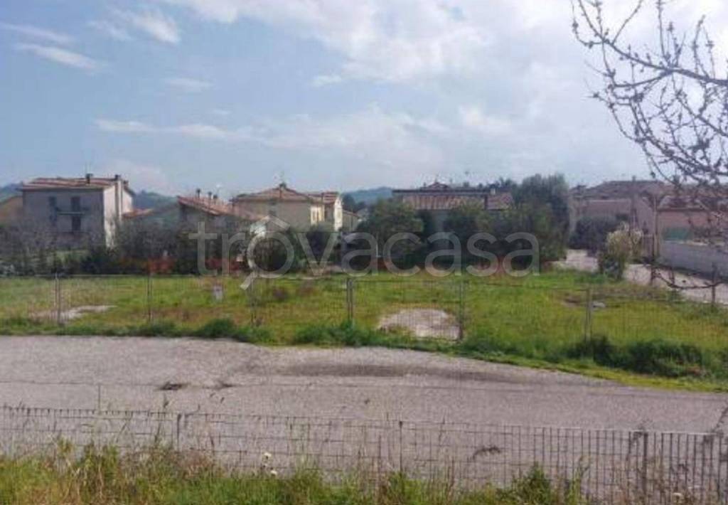 immagine annuncio 4 di 12
