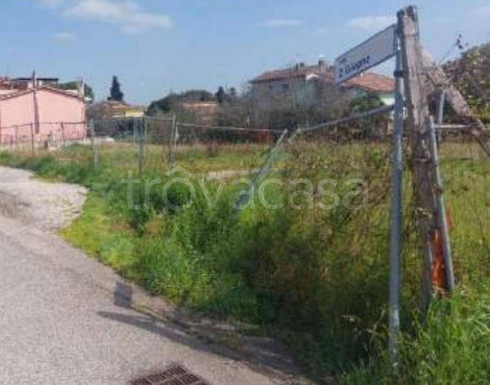 immagine annuncio 5 di 12