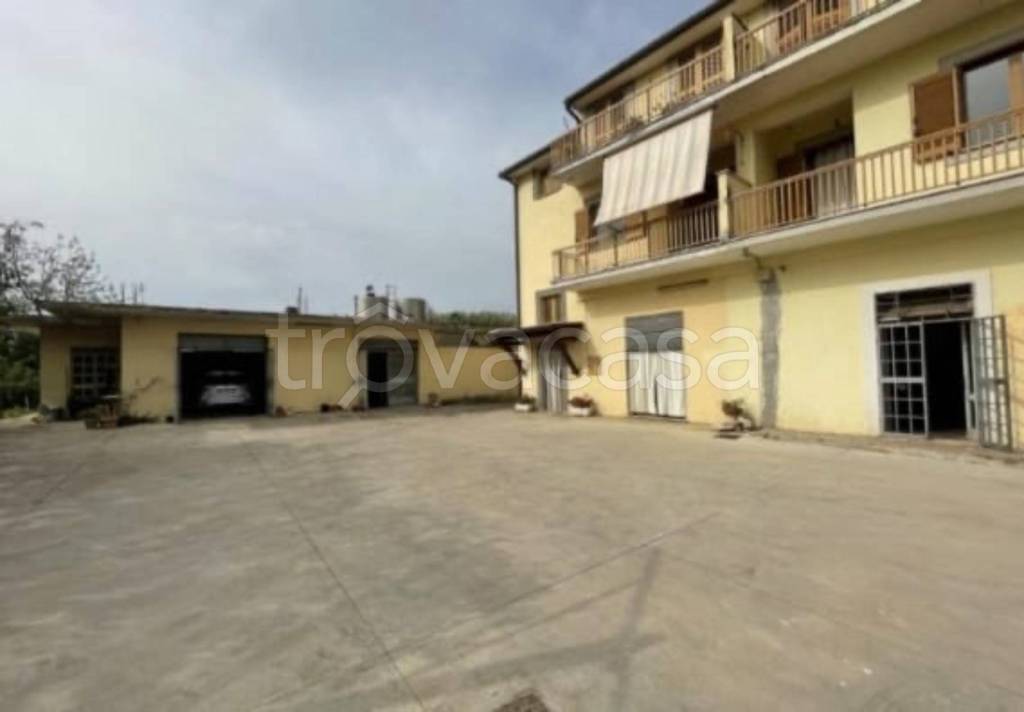 immagine annuncio 3 di 12