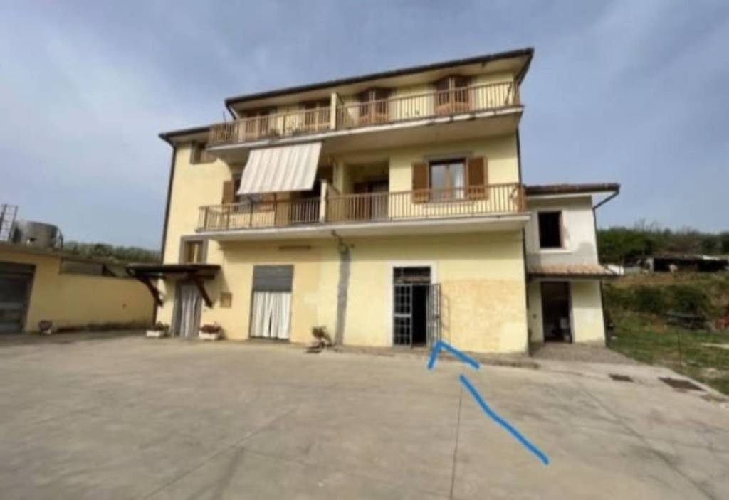 immagine annuncio 10 di 12