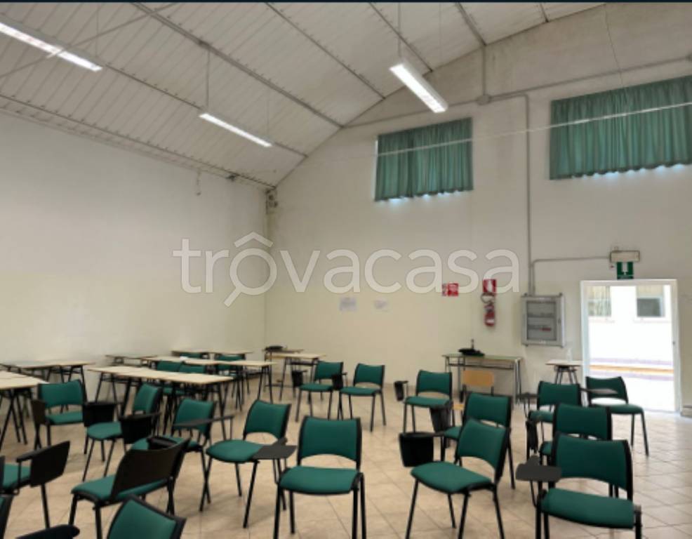 immagine annuncio 7 di 11