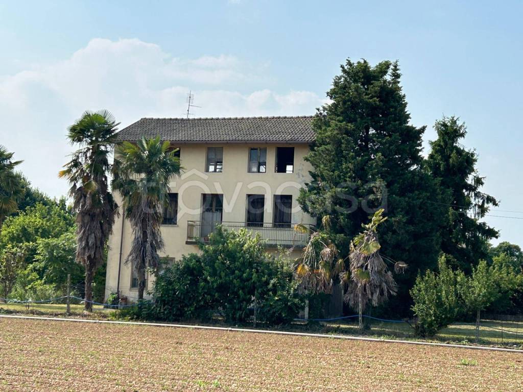 immagine annuncio 1 di 11