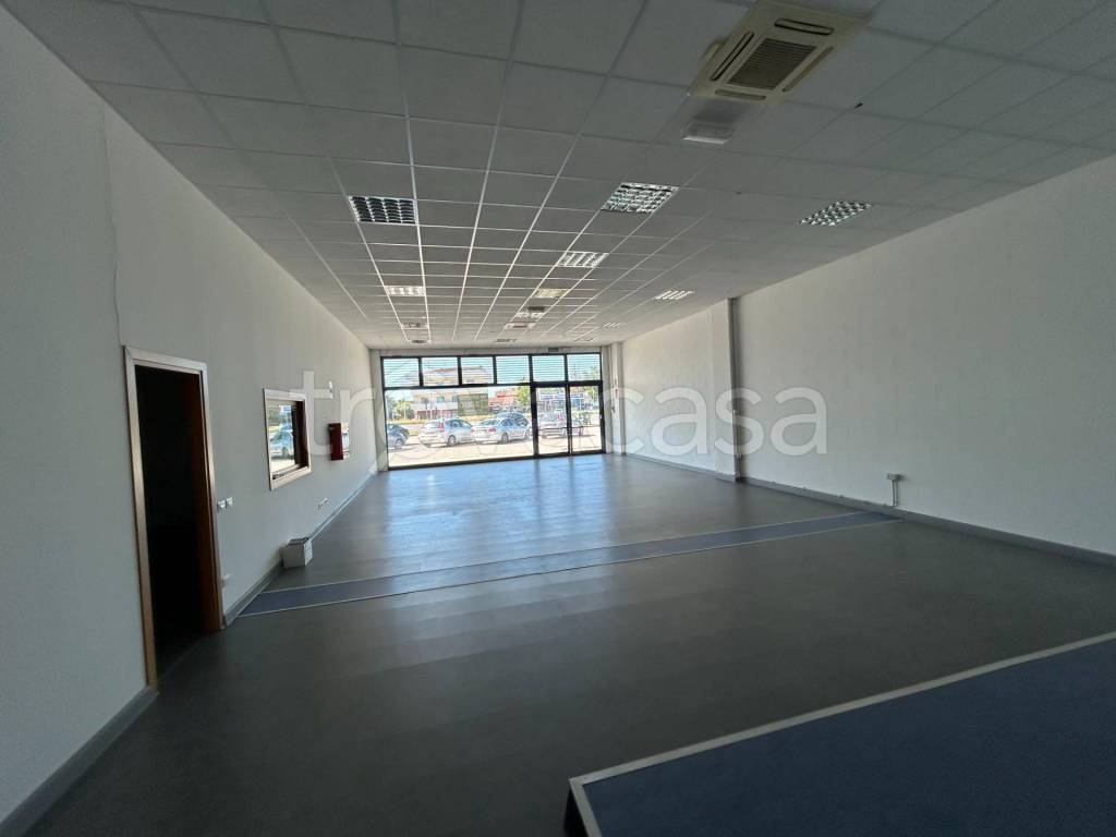 immagine annuncio 2 di 7