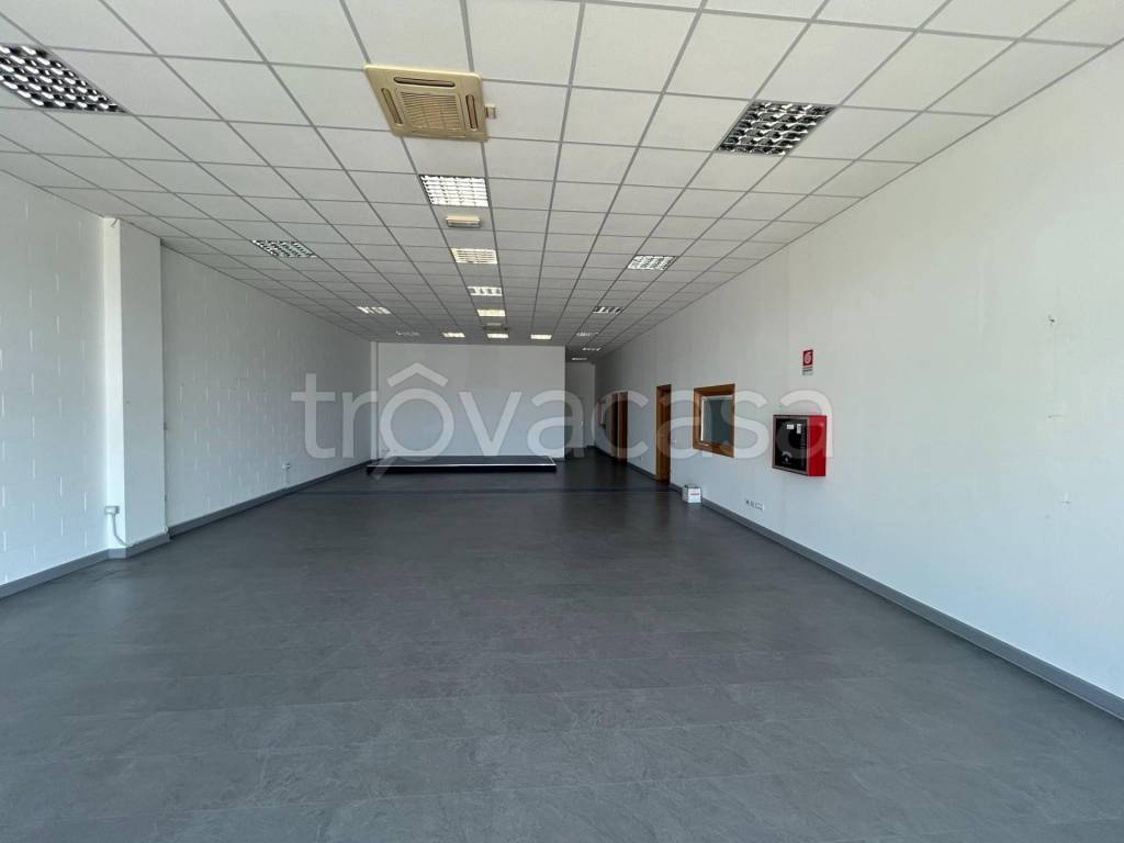 immagine annuncio 3 di 7