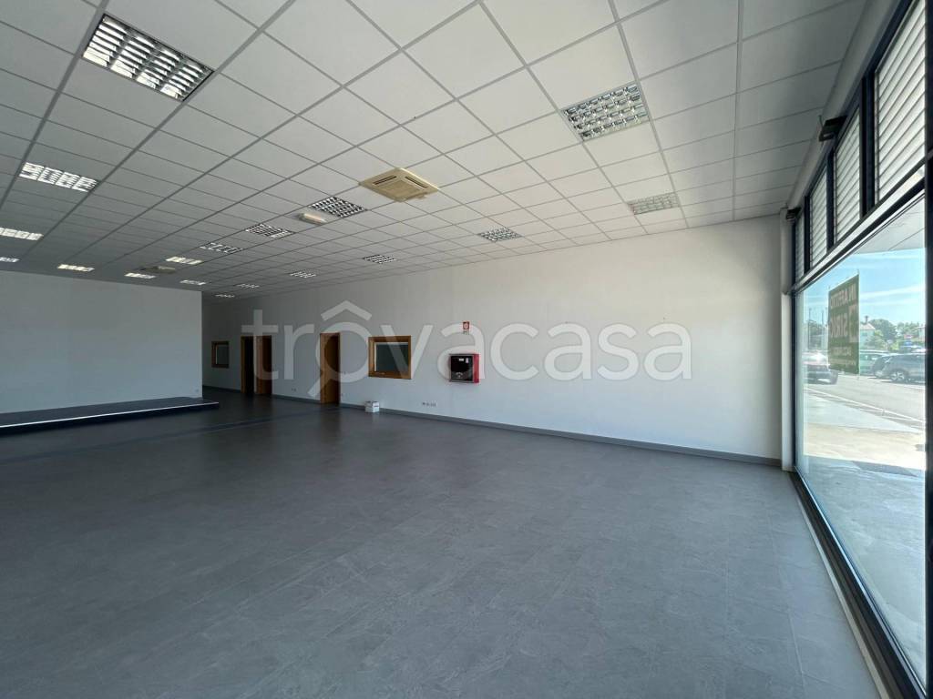 immagine annuncio 4 di 7