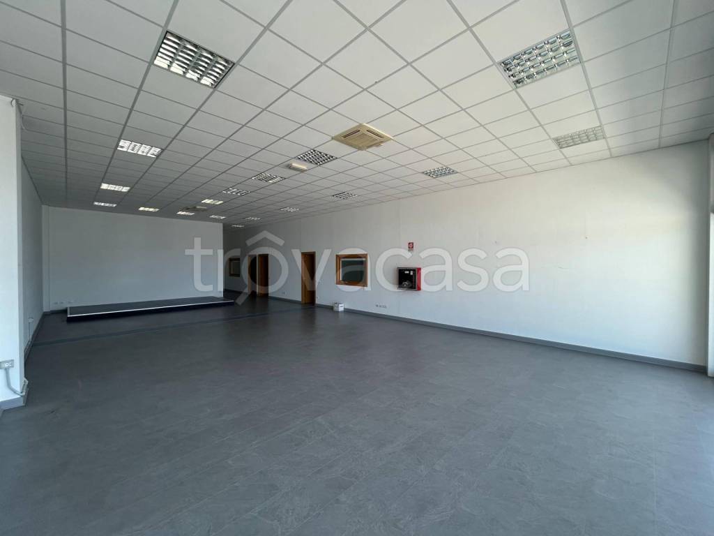 immagine annuncio 5 di 7