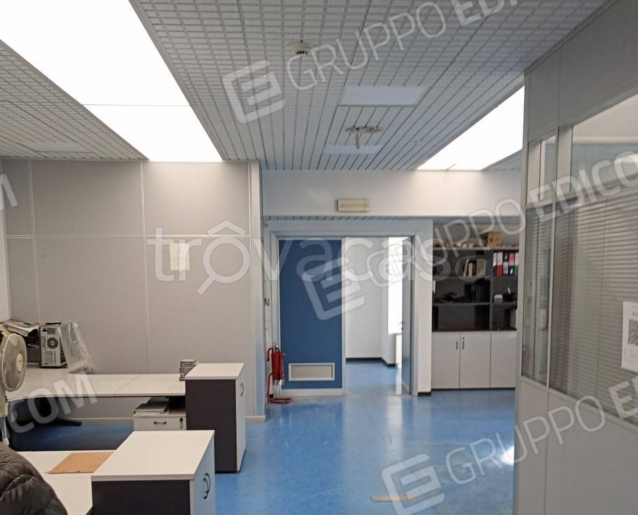 immagine annuncio 1 di 8