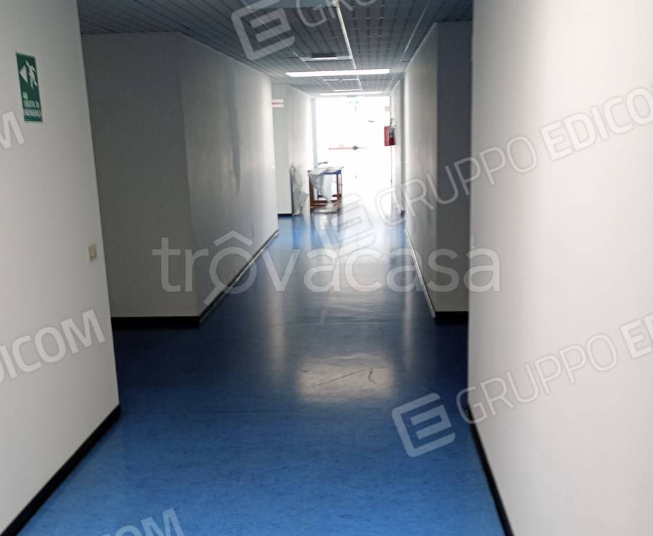 immagine annuncio 4 di 8