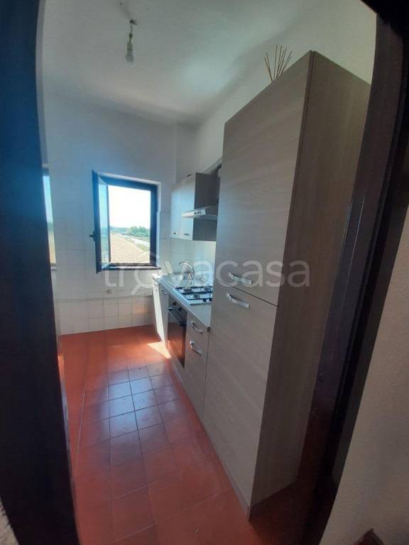 immagine annuncio 9 di 14