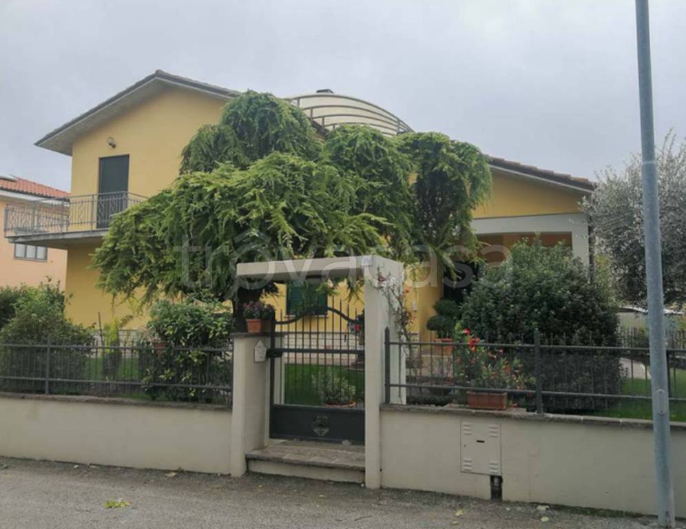 immagine annuncio 7 di 14