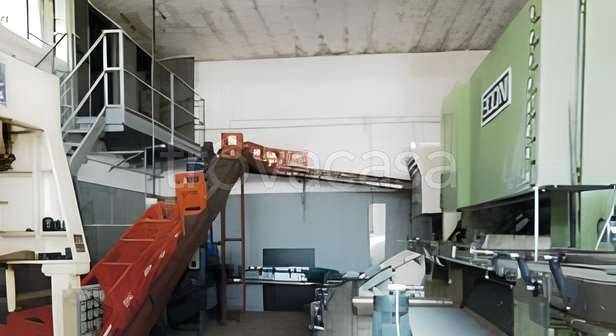 immagine annuncio 5 di 6