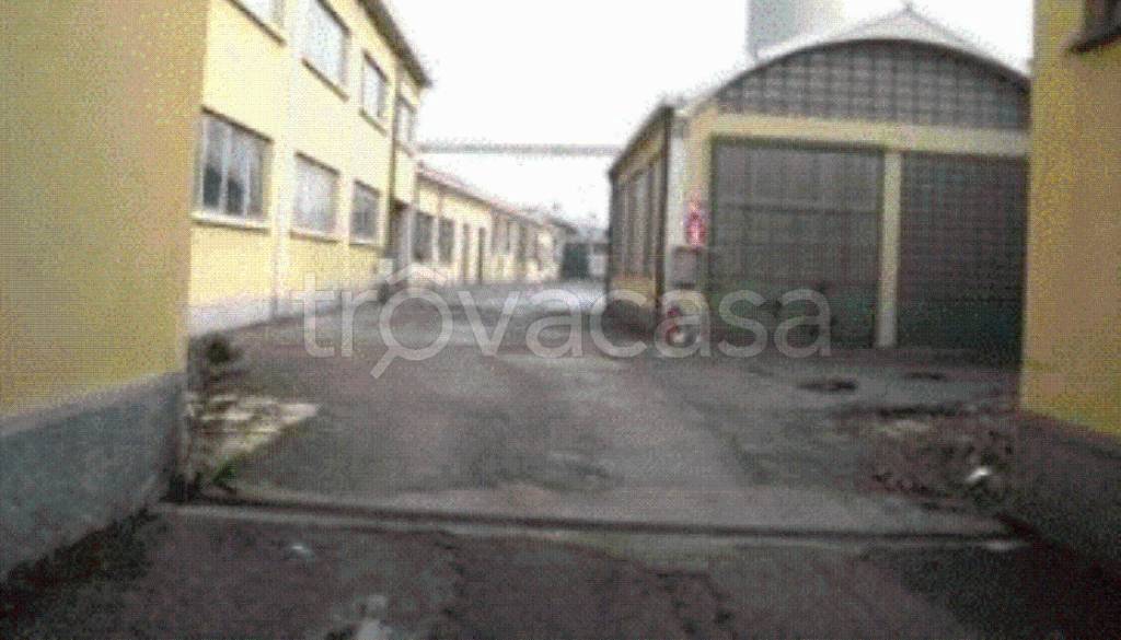 immagine annuncio 1 di 12