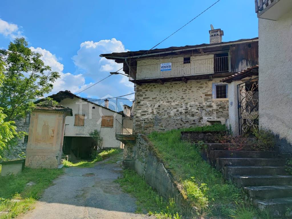 immagine annuncio 1 di 14