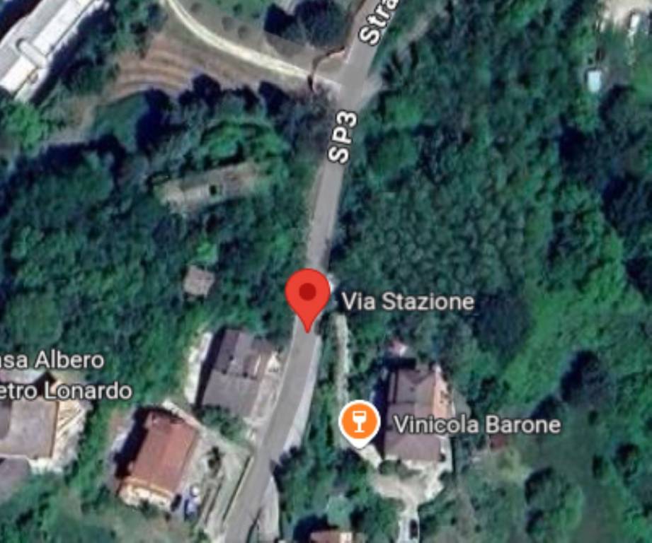 immagine annuncio 10 di 11