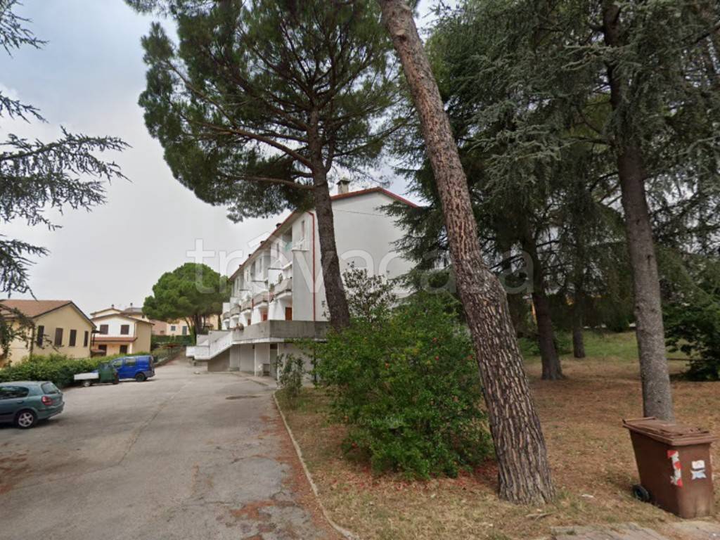 immagine annuncio 9 di 11