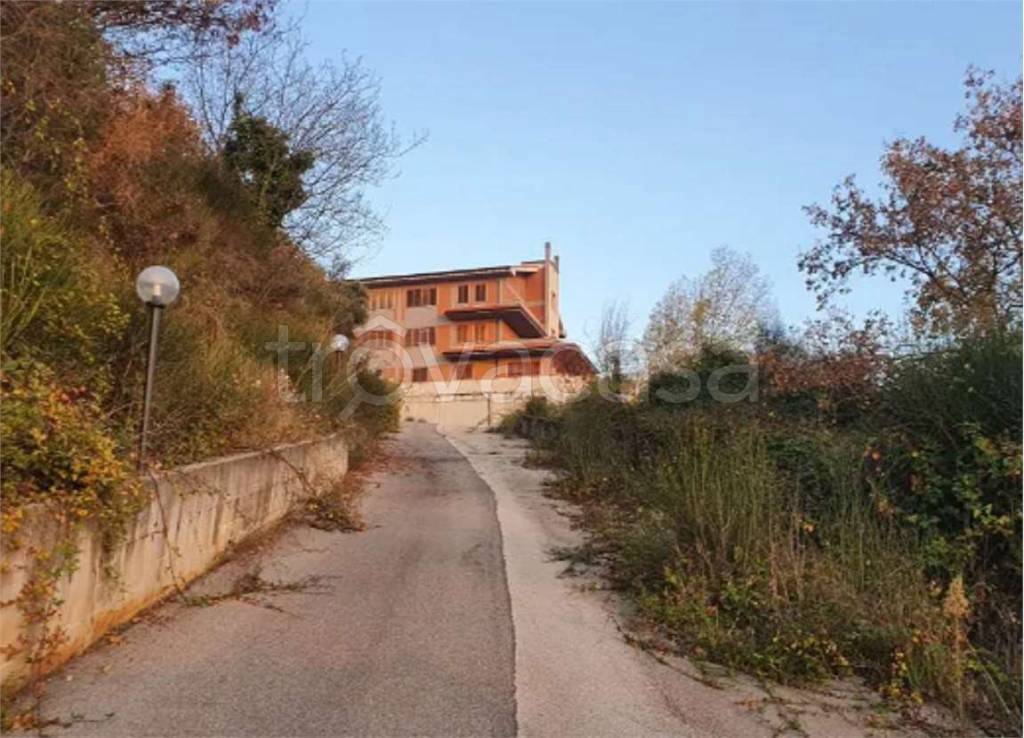 immagine annuncio 1 di 9