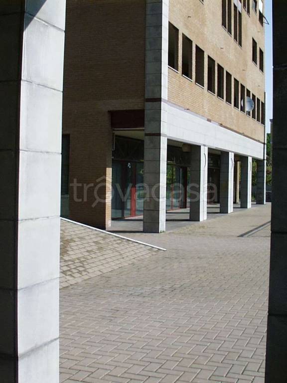 immagine annuncio 2 di 14