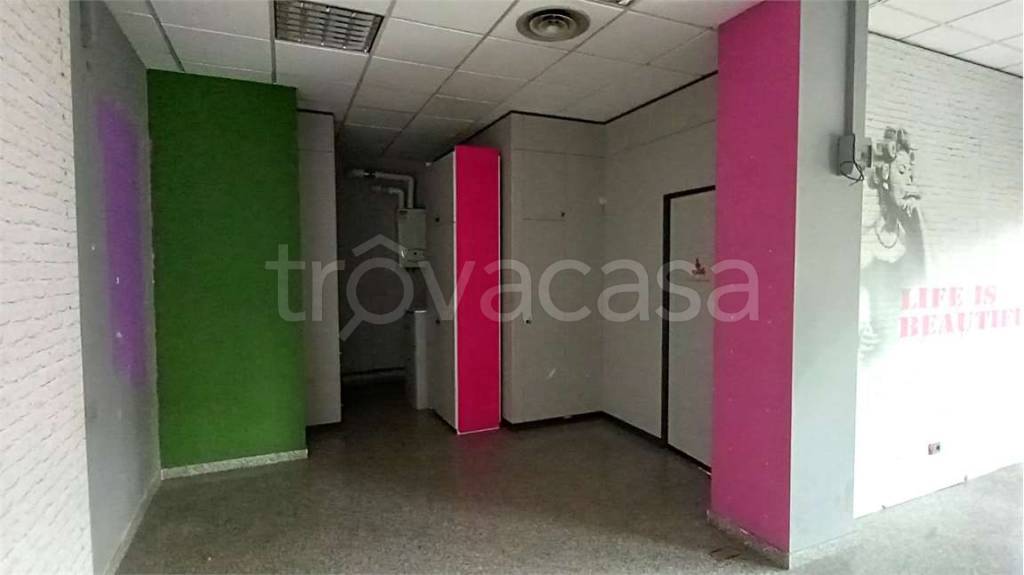 immagine annuncio 11 di 14