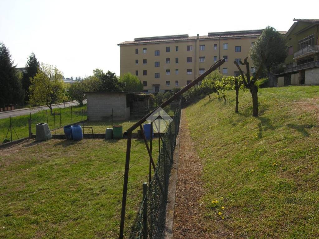 immagine annuncio 5 di 14
