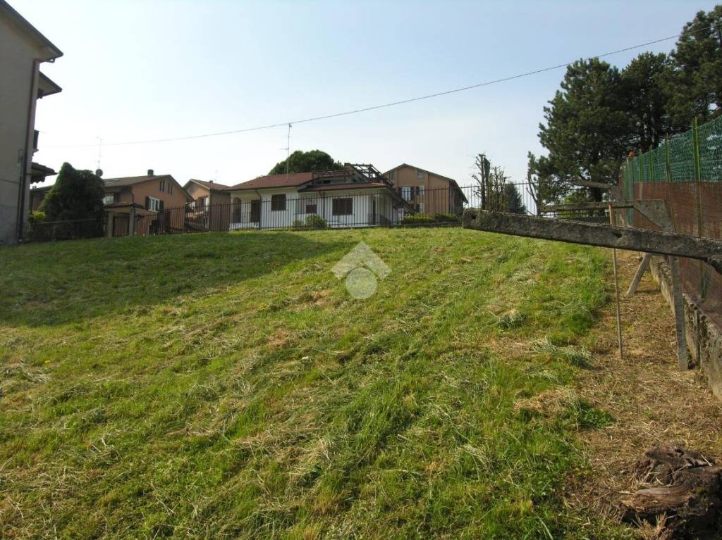 immagine annuncio 11 di 14
