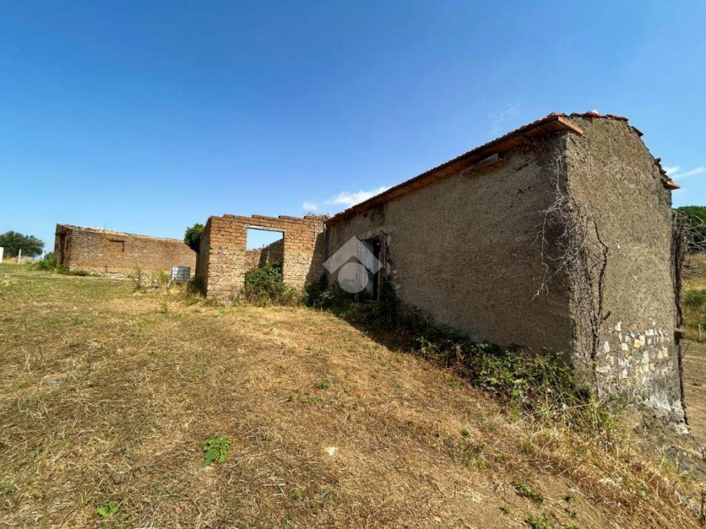 immagine annuncio 9 di 12