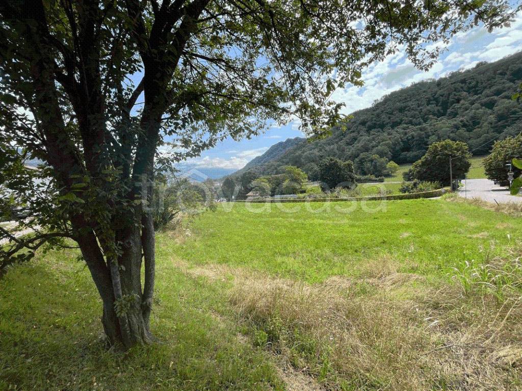 immagine annuncio 2 di 7