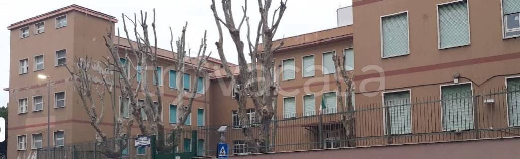 immagine annuncio 6 di 7