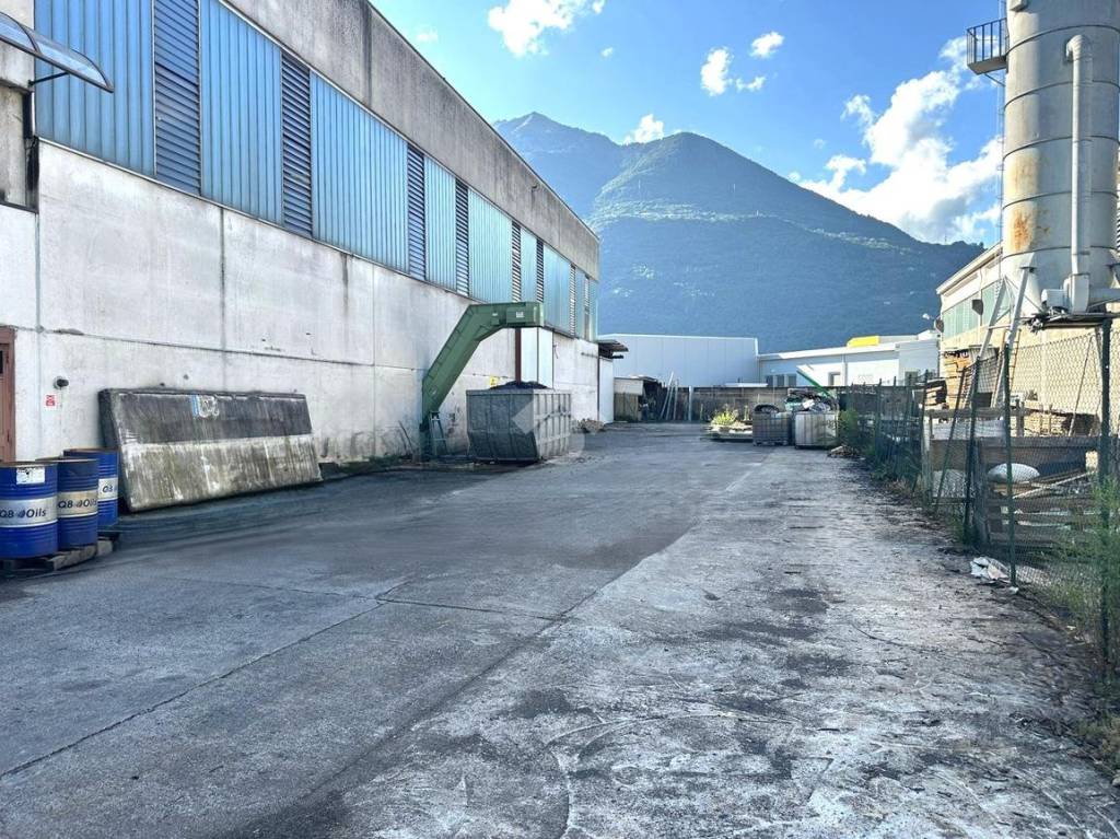 immagine annuncio 4 di 15