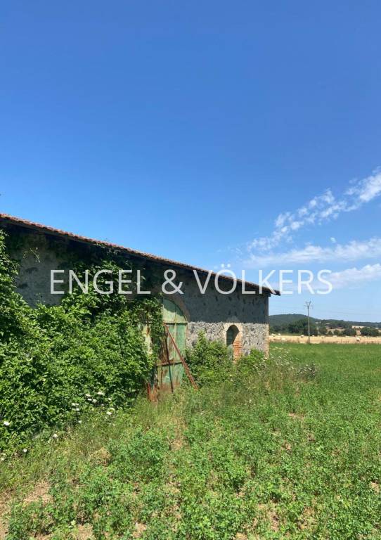 immagine annuncio 5 di 6