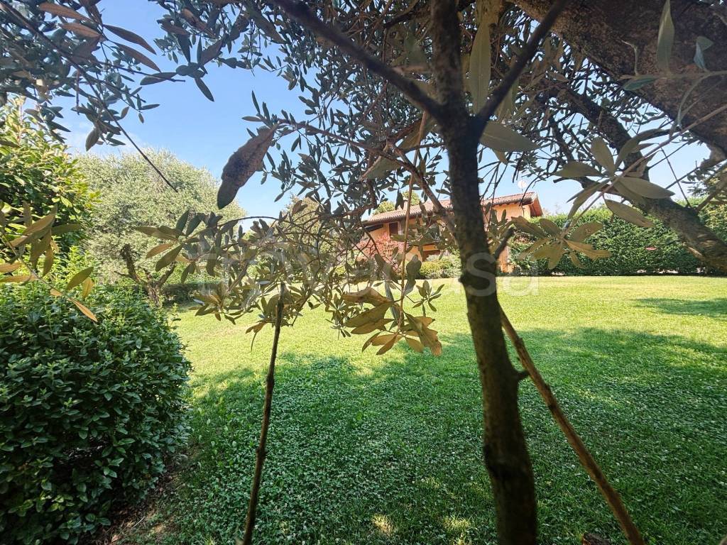 immagine annuncio 5 di 15