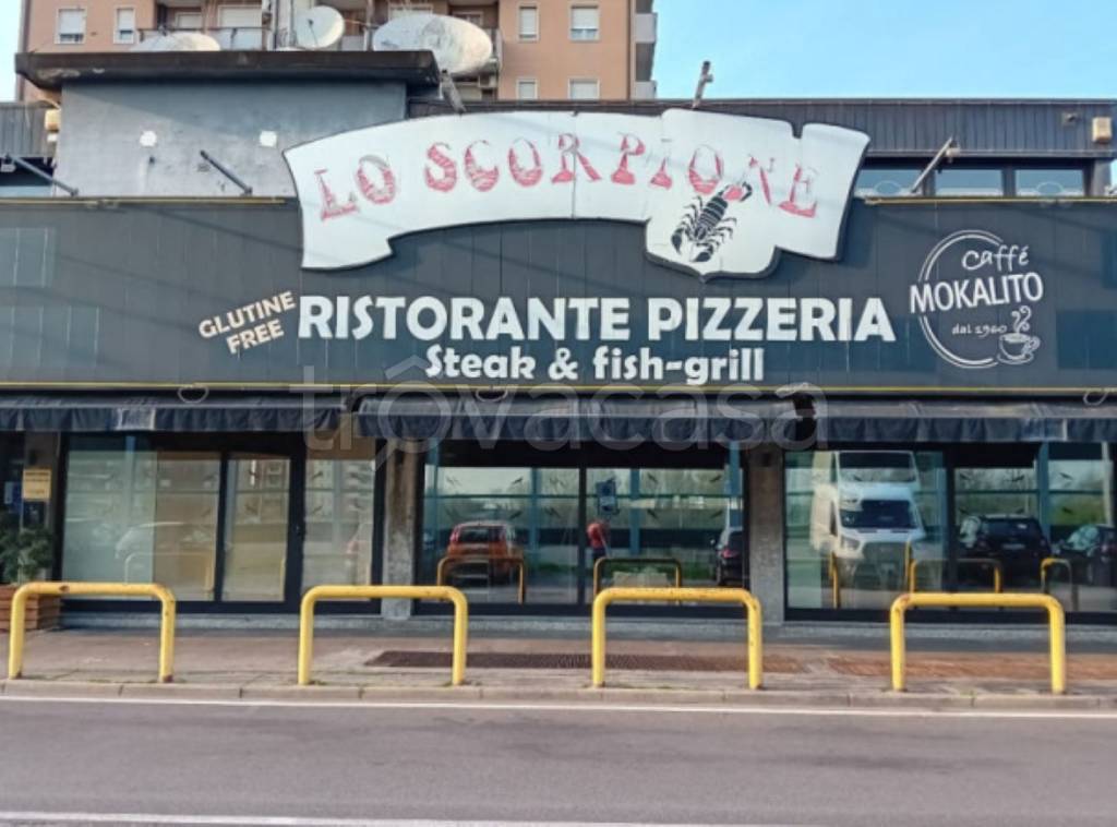immagine annuncio 1 di 11