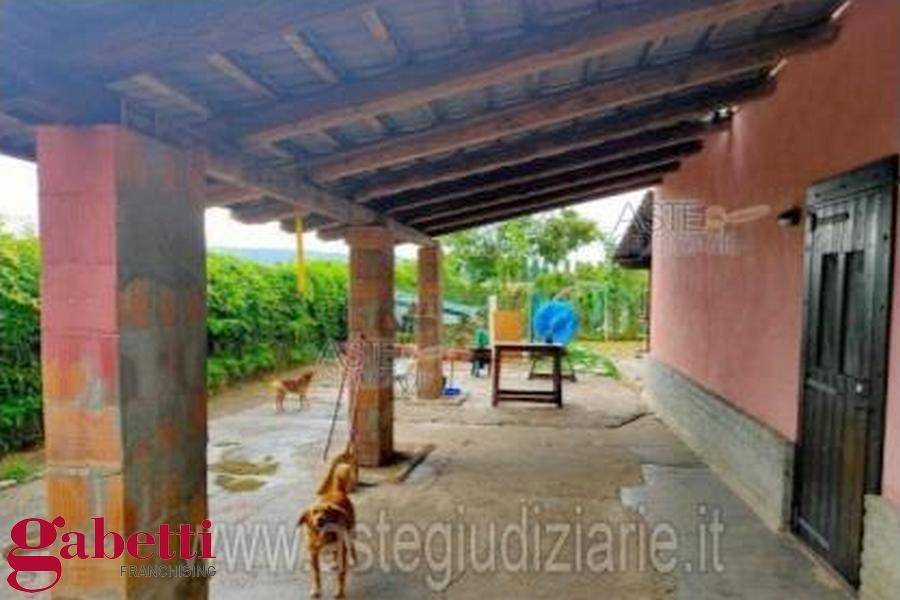 immagine annuncio 2 di 12