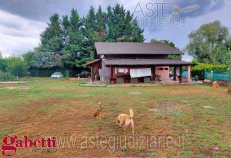 immagine annuncio 9 di 12