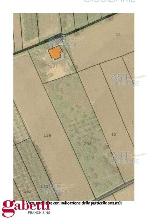 immagine annuncio 11 di 12