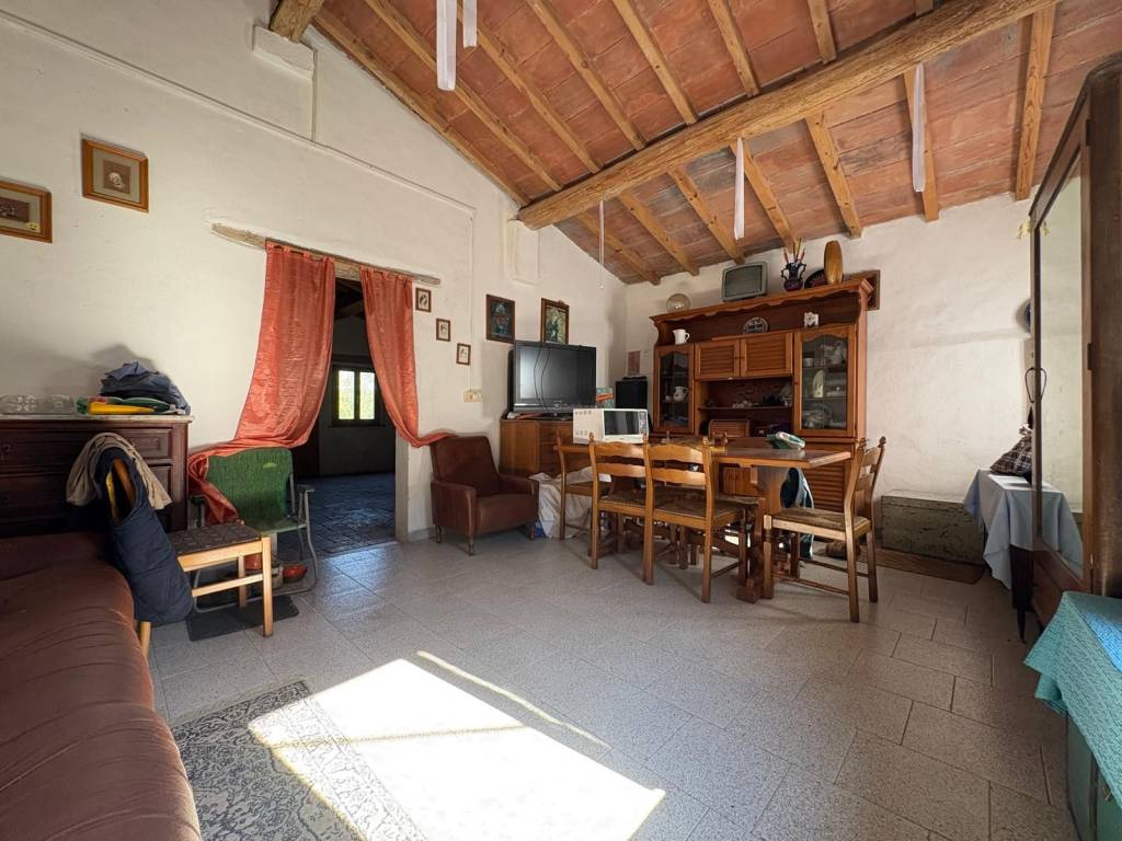 immagine annuncio 6 di 14