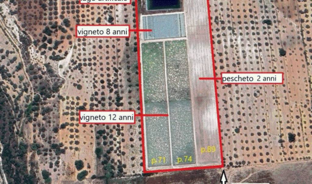 immagine annuncio 8 di 9