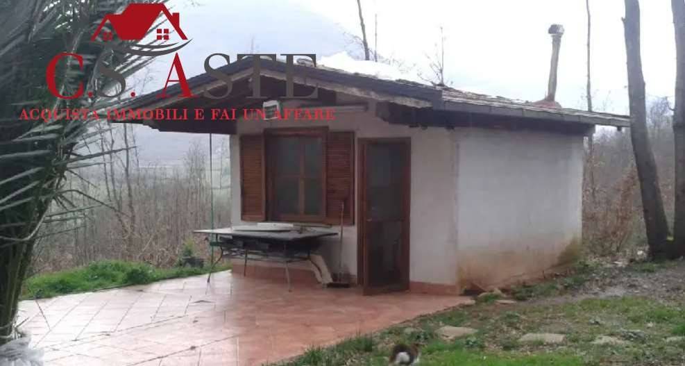 immagine annuncio 2 di 4