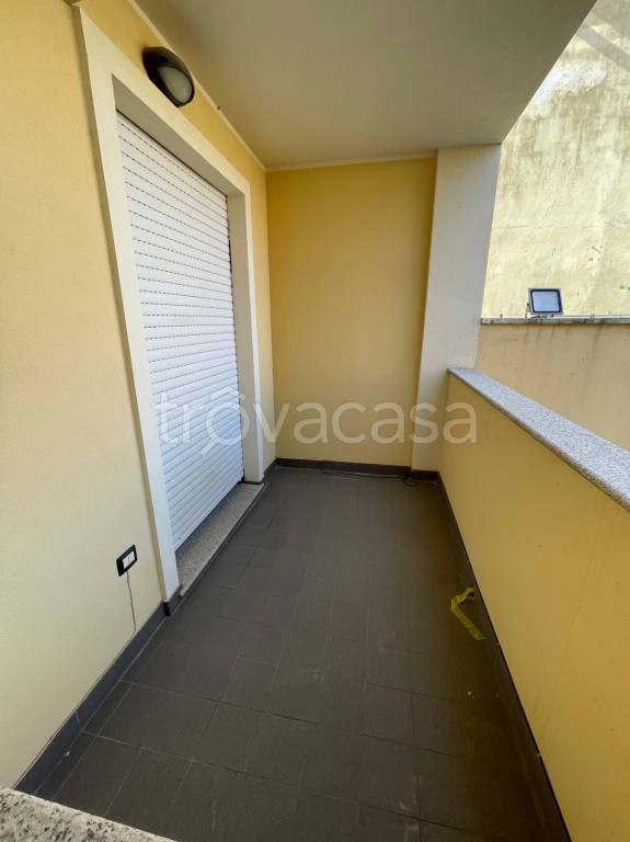 immagine annuncio 12 di 14