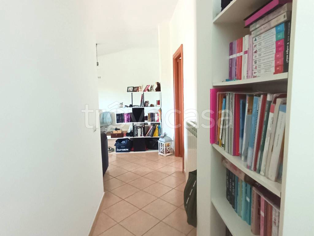immagine annuncio 9 di 14