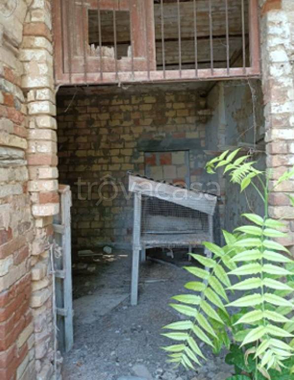 immagine annuncio 4 di 11