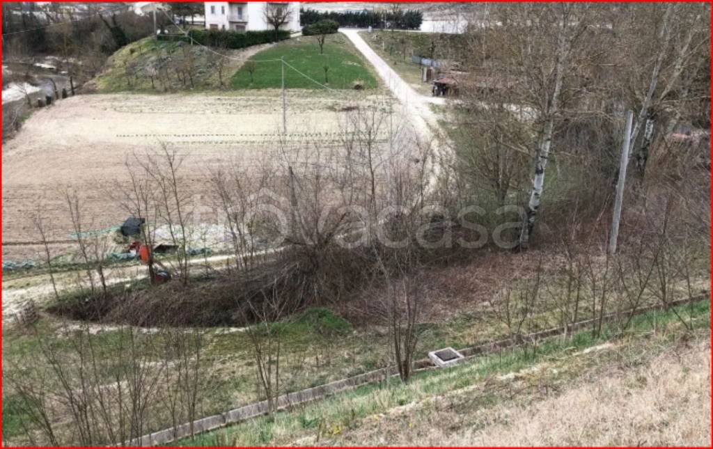 immagine annuncio 2 di 12