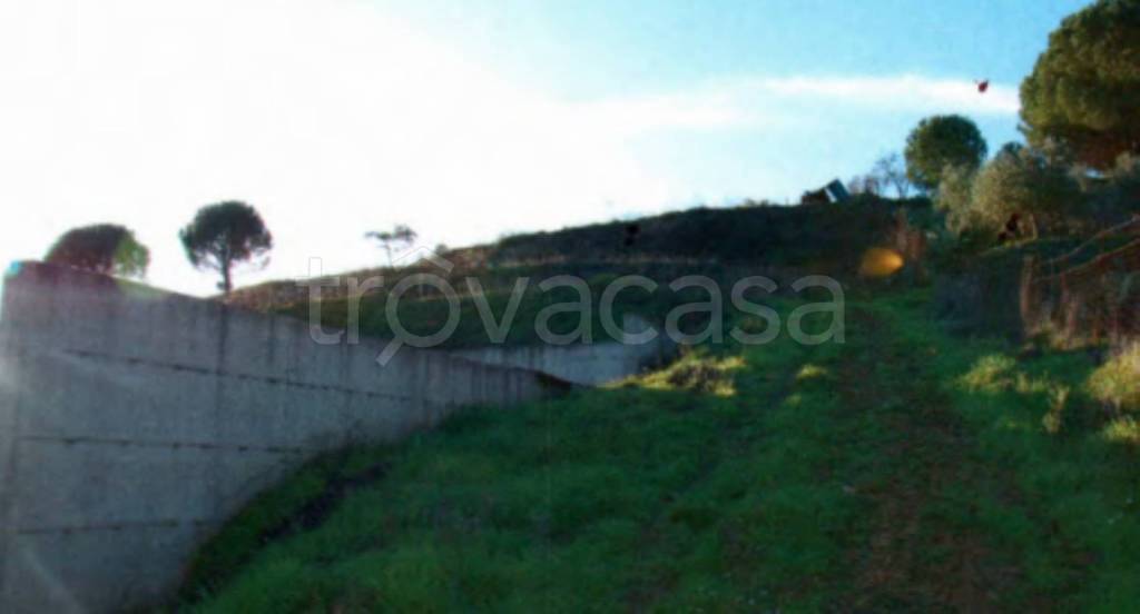 immagine annuncio 3 di 8