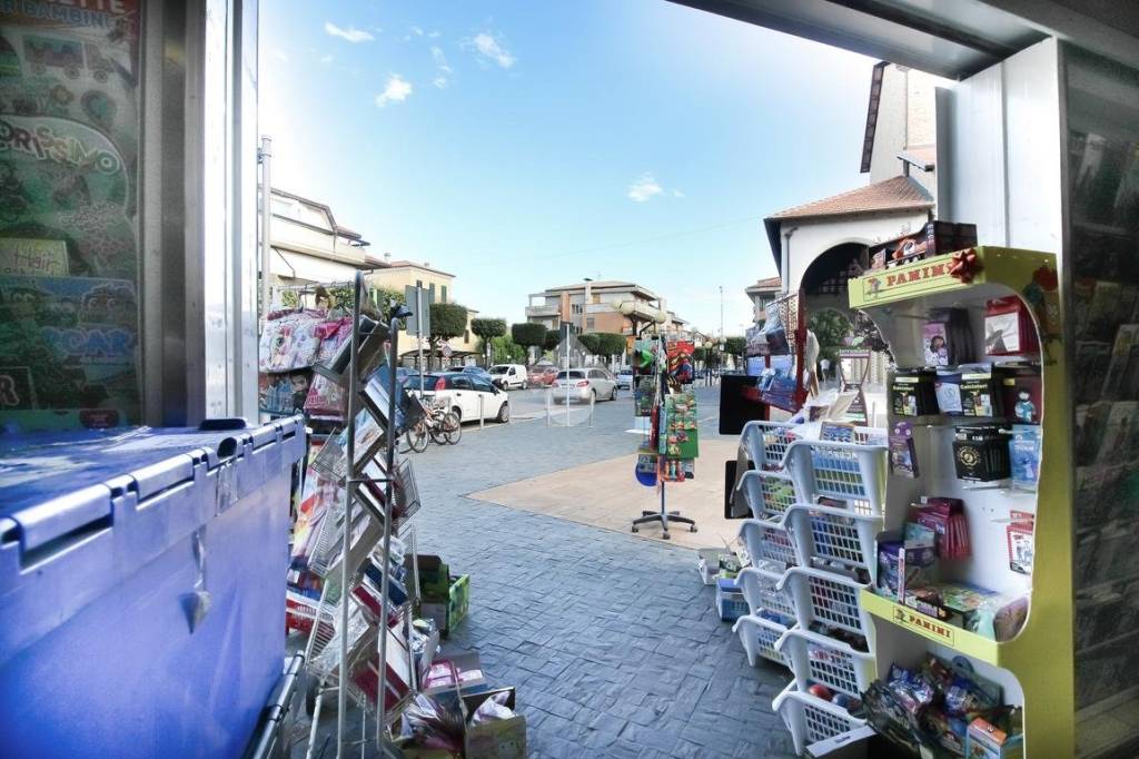 immagine annuncio 9 di 14