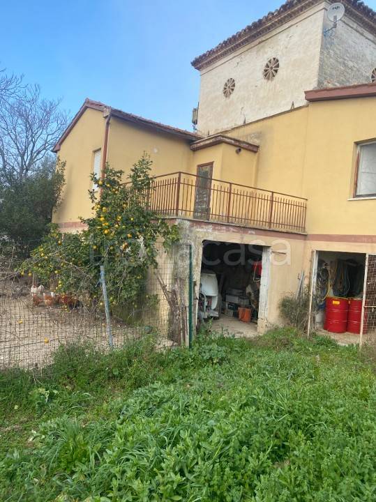 immagine annuncio 1 di 6