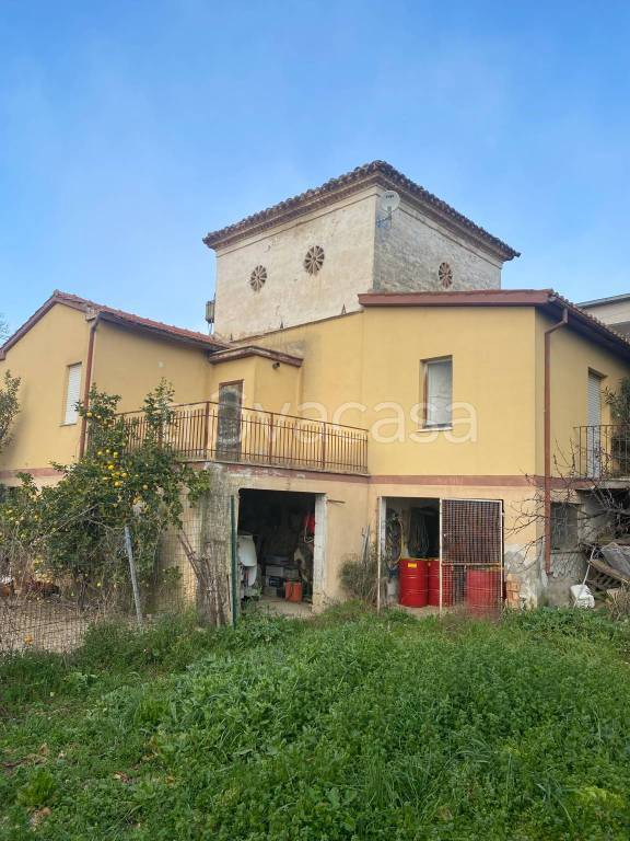 immagine annuncio 2 di 6
