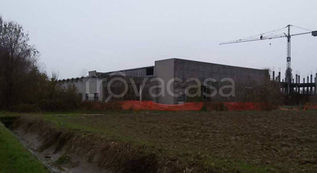 immagine annuncio 5 di 11