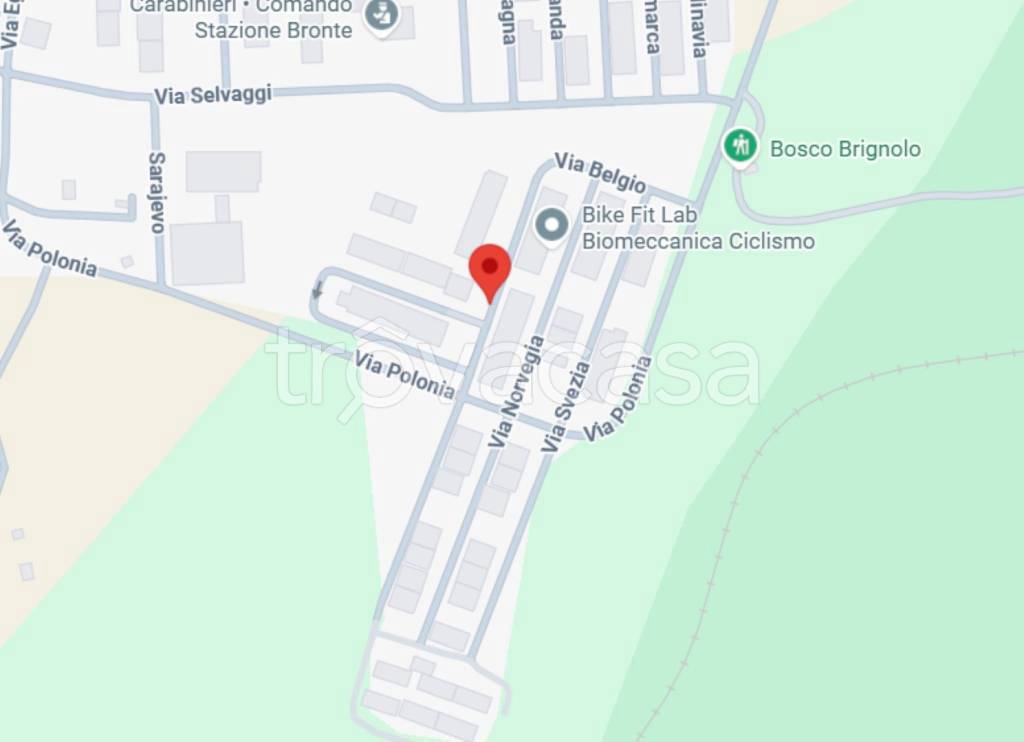 immagine annuncio 1 di 12